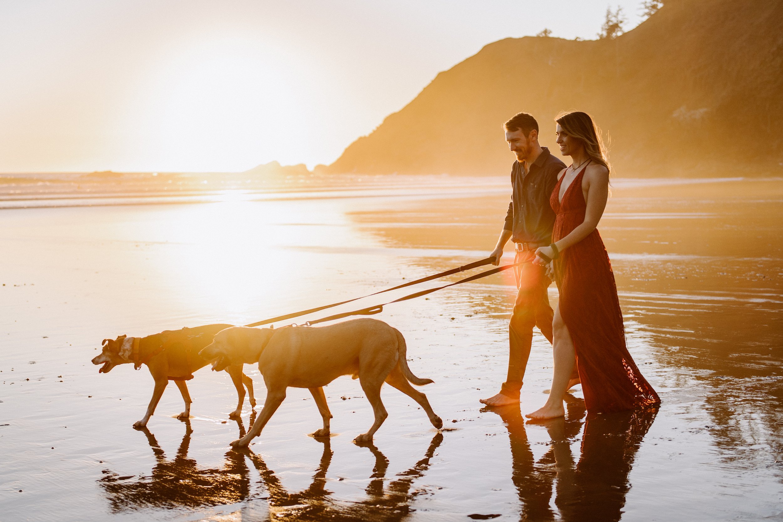 A man and woman walk barefoot on a beach with two dogs at sunset