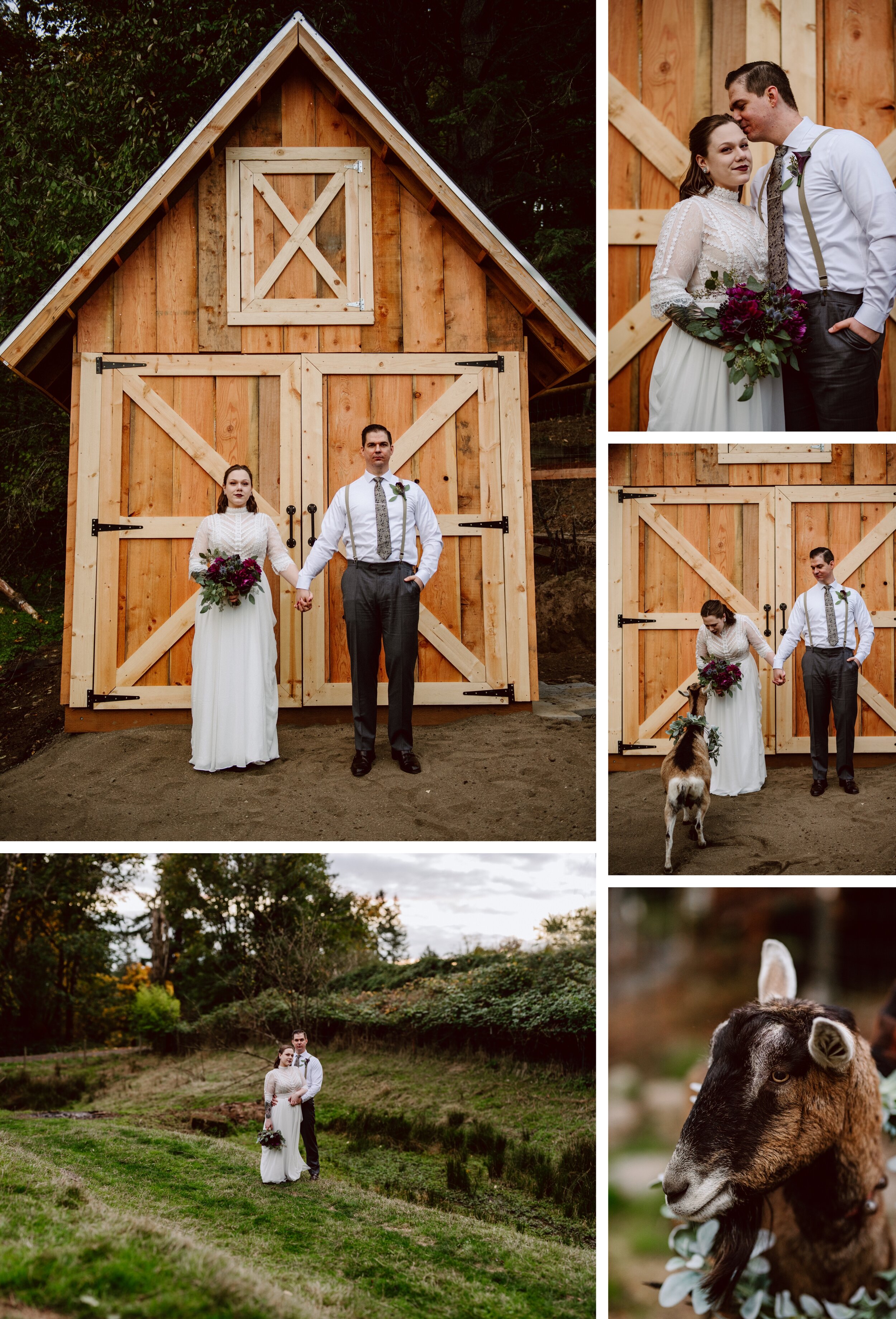 Bride and groom portraits in front of a homemade miniature barn at sunset with goats