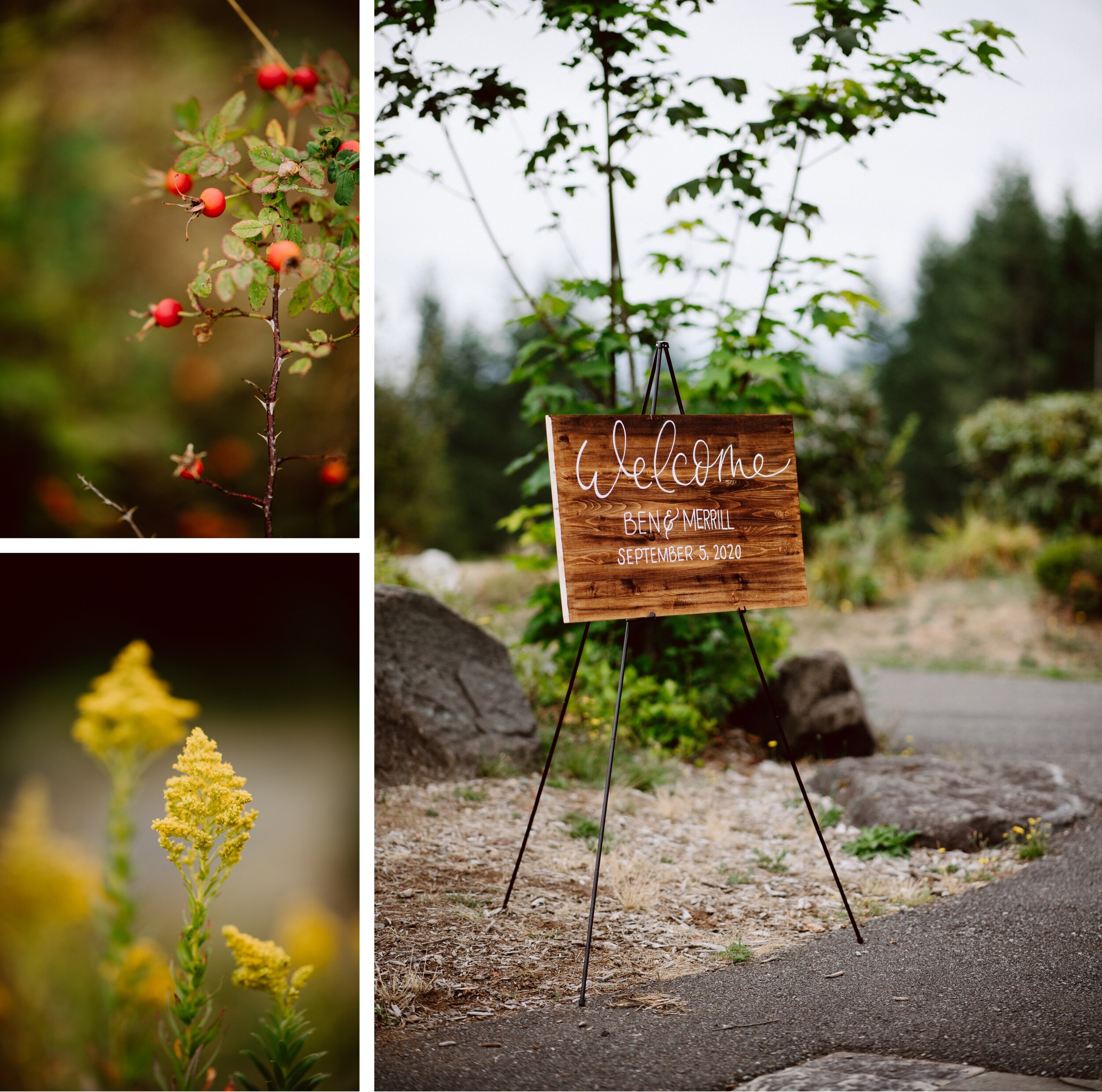 Natural plants and a sign for an outdoor mountain park wedding