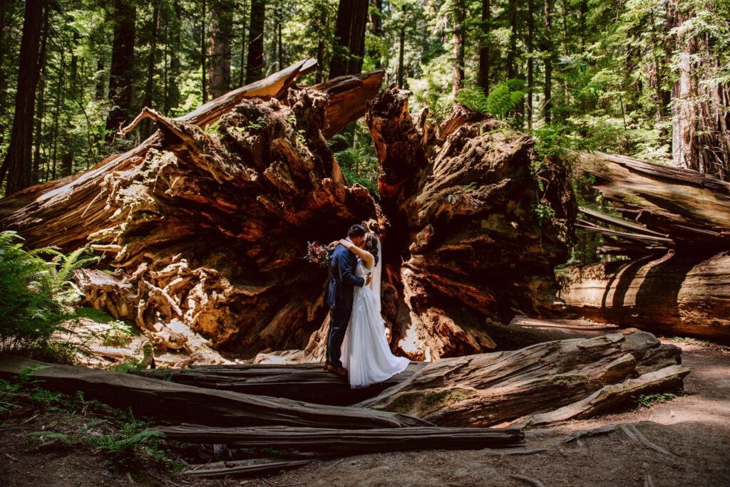 There are many redwood forests in both Oregon and northern California that make for a peaceful and memorable location for an elopement.